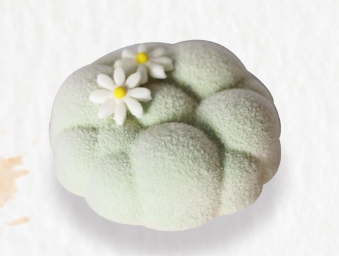 NEW Seasonal Mini Cakes